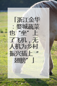 浙江金华：婺城蔬菜也“坐”上了飞机，无人机为乡村振兴插上“翅膀”