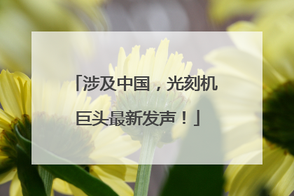 涉及中国，光刻机巨头最新发声！