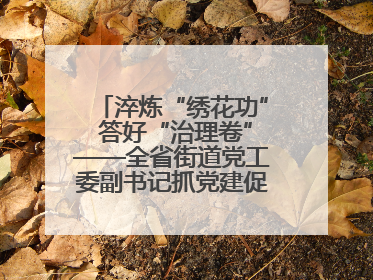 淬炼“绣花功” 答好“治理卷”——全省街道党工委副书记抓党建促基层治理培训示范班侧记