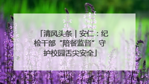 清风头条｜安仁：纪检干部“陪餐监督”守护校园舌尖安全