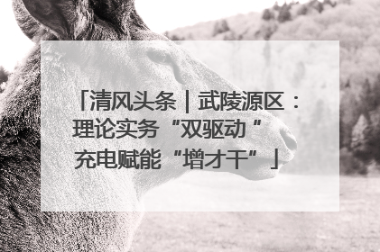清风头条｜武陵源区：理论实务“双驱动 ” 充电赋能“增才干”