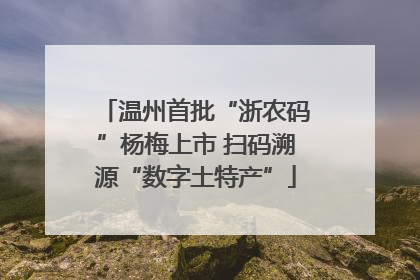 温州首批“浙农码”杨梅上市 扫码溯源“数字土特产”