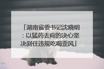 湖南省委书记沈晓明：以猛药去疴的决心坚决刹住违规吃喝歪风