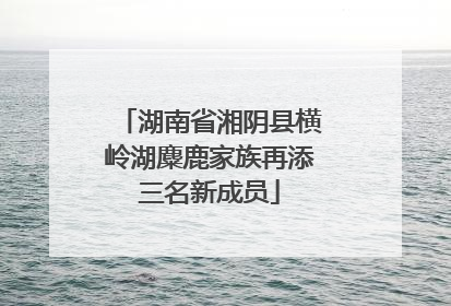 湖南省湘阴县横岭湖麋鹿家族再添三名新成员