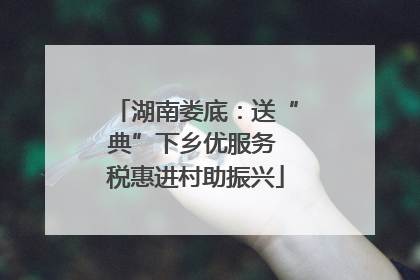 湖南娄底：送“典”下乡优服务 税惠进村助振兴