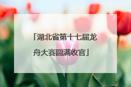 湖北省第十七届龙舟大赛圆满收官