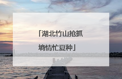 湖北竹山抢抓墒情忙夏种
