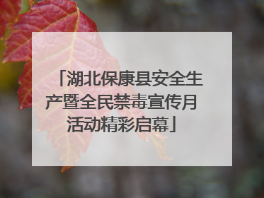 湖北保康县安全生产暨全民禁毒宣传月活动精彩启幕
