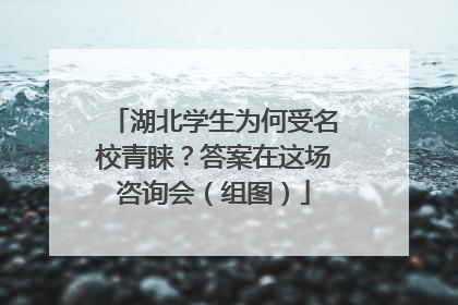 湖北学生为何受名校青睐？答案在这场咨询会（组图）