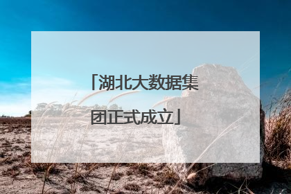 湖北大数据集团正式成立