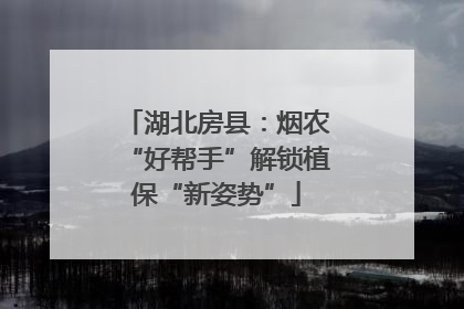 湖北房县：烟农“好帮手”解锁植保“新姿势”