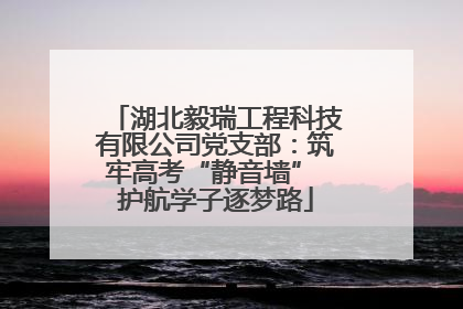 湖北毅瑞工程科技有限公司党支部：筑牢高考“静音墙” 护航学子逐梦路