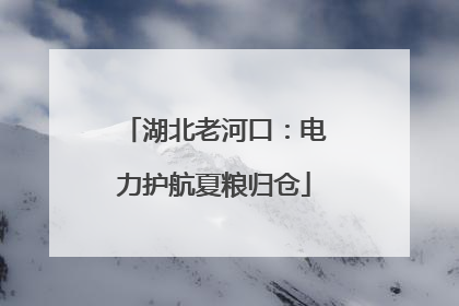 湖北老河口：电力护航夏粮归仓
