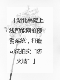 湖北高院上线智能网拍预警系统，打造司法拍卖“防火墙”