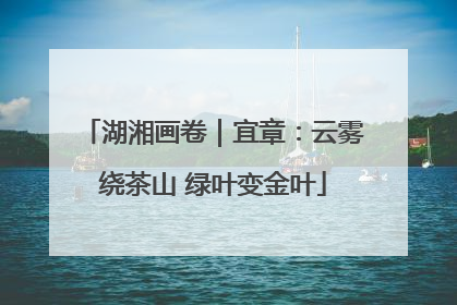 湖湘画卷｜宜章：云雾绕茶山 绿叶变金叶