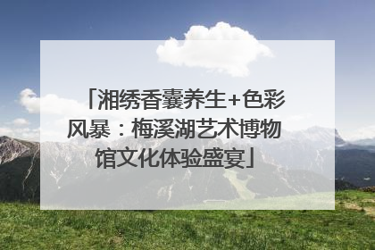 湘绣香囊养生+色彩风暴：梅溪湖艺术博物馆文化体验盛宴