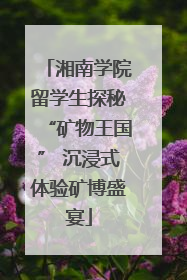 湘南学院留学生探秘“矿物王国” 沉浸式体验矿博盛宴