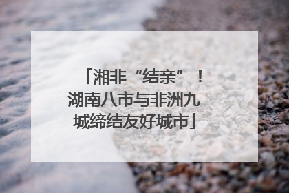 湘非“结亲”！湖南八市与非洲九城缔结友好城市