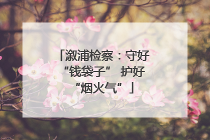 溆浦检察：守好“钱袋子” 护好“烟火气”