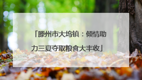 滕州市大坞镇：倾情助力三夏夺取粮食大丰收