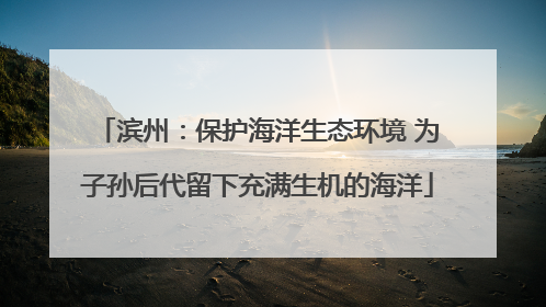 滨州：保护海洋生态环境 为子孙后代留下充满生机的海洋
