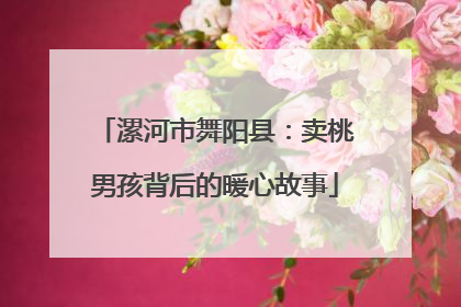 漯河市舞阳县：卖桃男孩背后的暖心故事