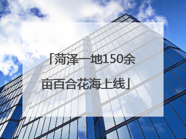 菏泽一地150余亩百合花海上线