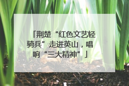 荆楚“红色文艺轻骑兵”走进英山，唱响“三大精神”