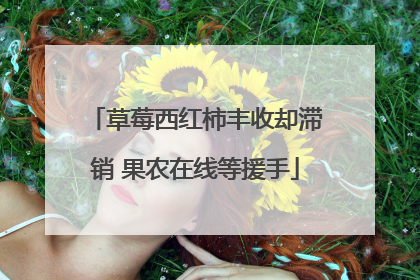 草莓西红柿丰收却滞销 果农在线等援手