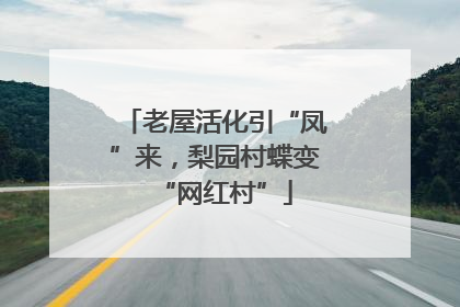 老屋活化引“凤”来，梨园村蝶变“网红村”