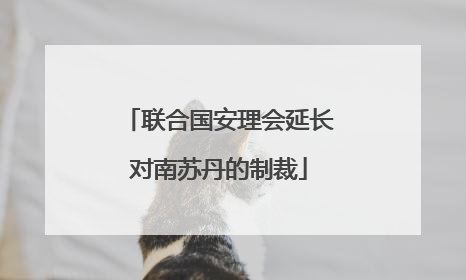 联合国安理会延长对南苏丹的制裁