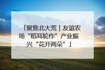 聚焦北大荒｜友谊农场“稻耳轮作”产业振兴“花开两朵”