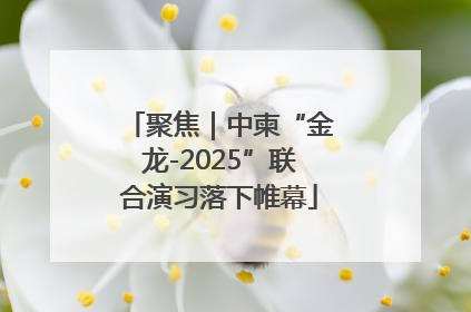 聚焦｜中柬“金龙-2025”联合演习落下帷幕