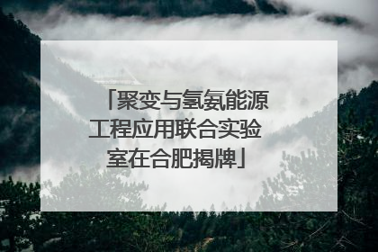 聚变与氢氨能源工程应用联合实验室在合肥揭牌