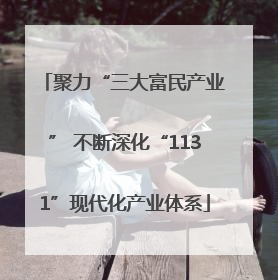 聚力“三大富民产业” 不断深化“1131”现代化产业体系