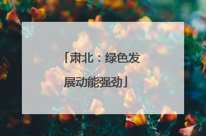 肃北：绿色发展动能强劲