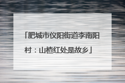 肥城市仪阳街道李南阳村：山楂红处是故乡
