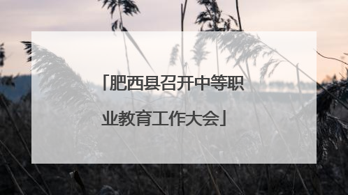 肥西县召开中等职业教育工作大会