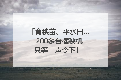 育秧苗、平水田……200多台插秧机只等一声令下