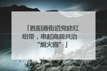 胜阳港街道党建红纽带，串起商居共治 “烟火圈”