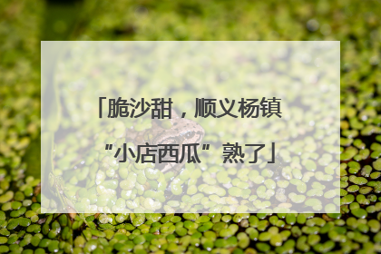 脆沙甜，顺义杨镇“小店西瓜”熟了