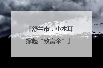 舒兰市：小木耳撑起“致富伞”
