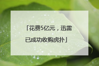 花费5亿元，迅雷已成功收购虎扑