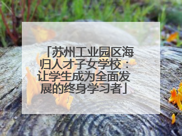 苏州工业园区海归人才子女学校：让学生成为全面发展的终身学习者