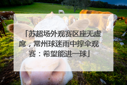 苏超场外观赛区座无虚席，常州球迷雨中撑伞观赛：希望能进一球