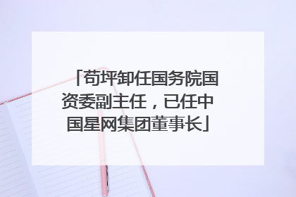 苟坪卸任国务院国资委副主任，已任中国星网集团董事长