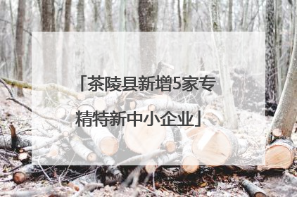 茶陵县新增5家专精特新中小企业