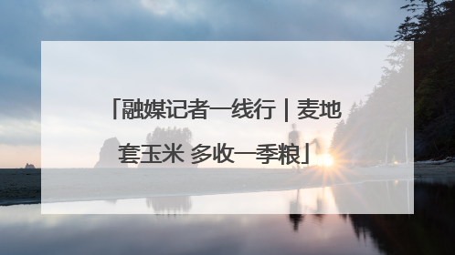 融媒记者一线行｜麦地套玉米 多收一季粮