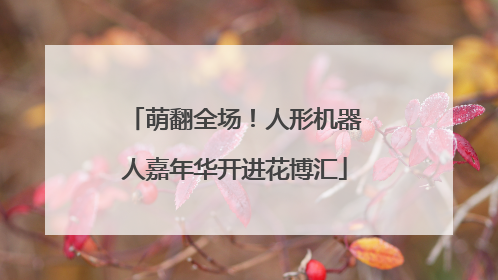 萌翻全场！人形机器人嘉年华开进花博汇