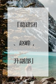 葛建团、赵峰，升副部